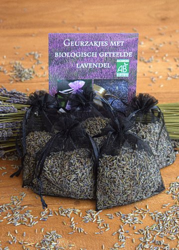 Hoe kun je lavendel gebruiken om je huis heerlijk te laten ruiken