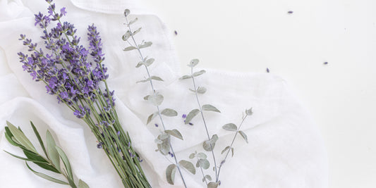 Is lavendel eetbaar? Veilig gebruik en wat je moet weten