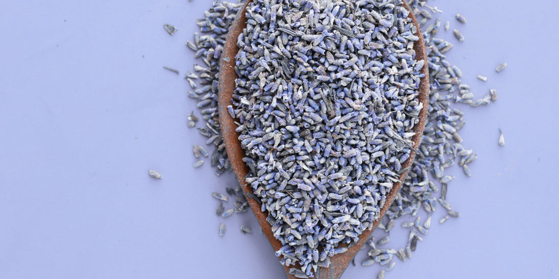 Gedroogde lavendel kopen: waar moet je op letten?