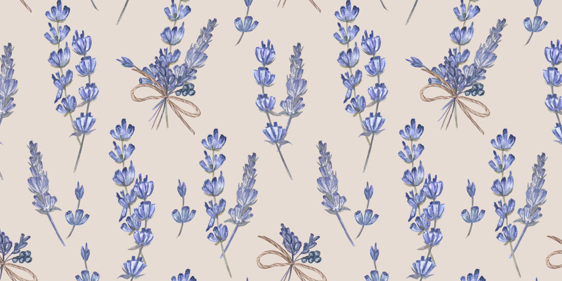 Wat kun je doen met gedroogde lavendel? 15 ideeën