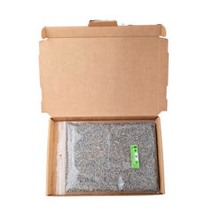Lavendel tegen Ongedierte - 100 gram