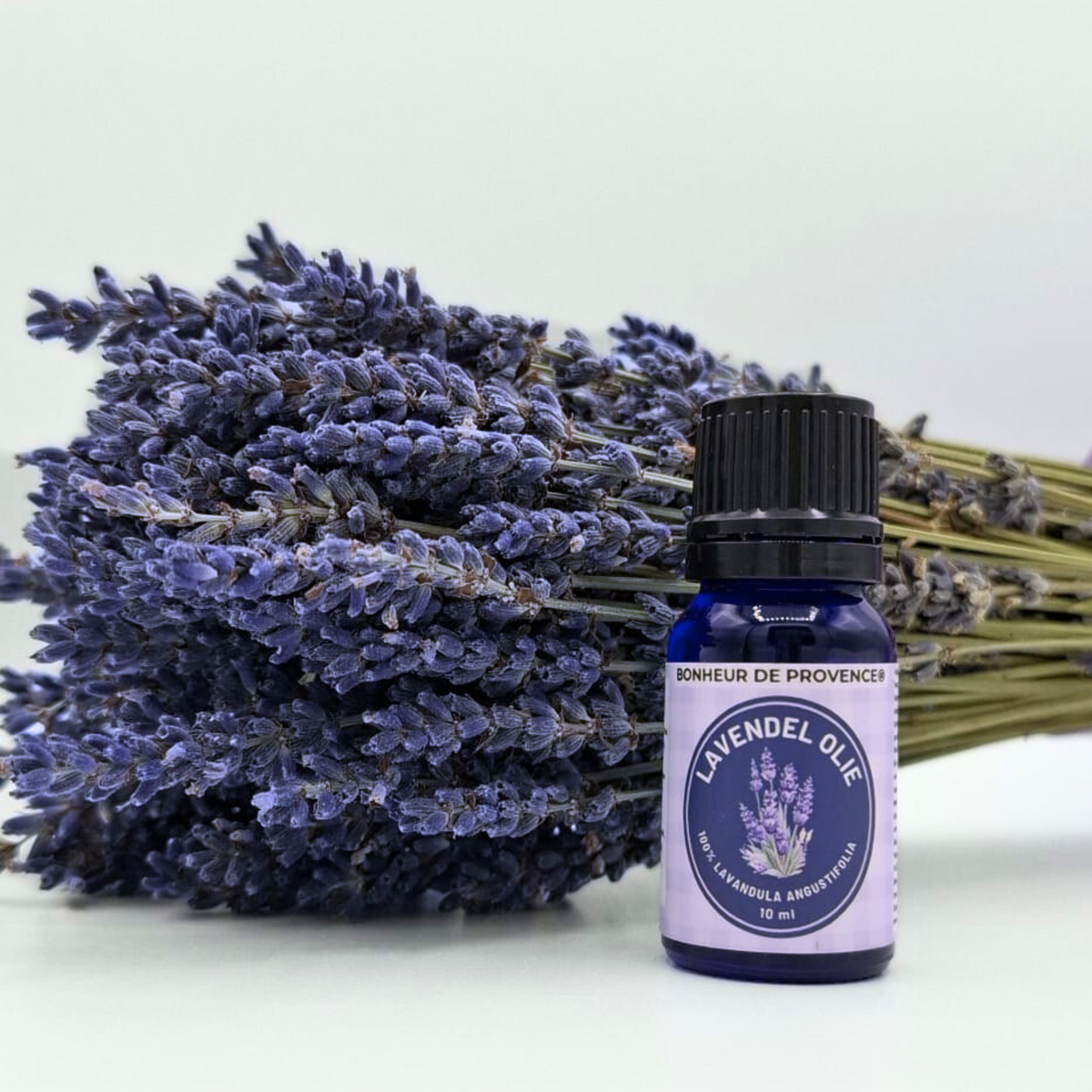 Lavandula Angustifolia - Lavendel Olie