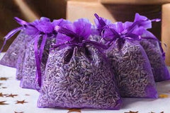 Lavendel geurzakjes met biologische lavendel - 10 zakjes à 6 gram - Paars