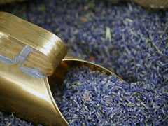 Losse Lavendel - 10kg