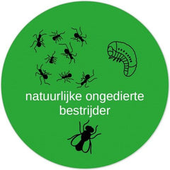 Lavendel tegen Ongedierte - 100 gram