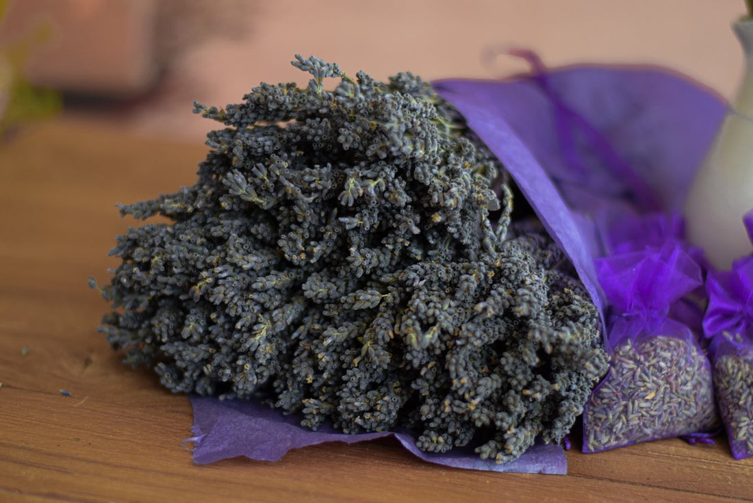 Lavendel geurzakjes, donkerpaars 10 x 3 gram. NU €3,50 KORTING bij che Lavendel geurzakjes, donkerpaars 10 x 3 gram. NU €3,50 KORTING bij che