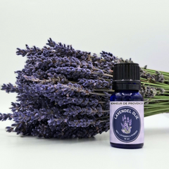 Lavandula Hybrida - Lavendel Olie
